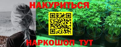 сатива Можга