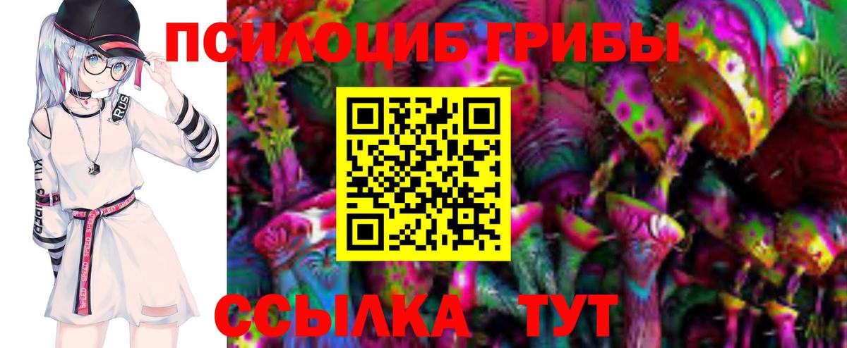 Шадринск  Галлюциногенные грибы мицелий  Вход с VPN  Псилоцибиновые грибы мухоморы 